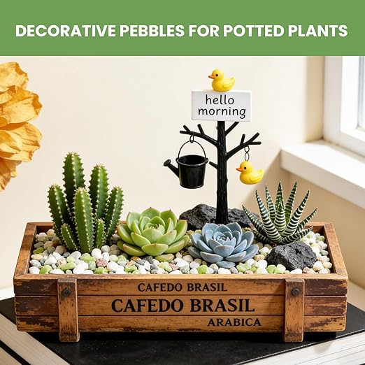 Pebbles for Indoor Plants,3/8 Inch Mixed Color Gravel, Polished Decorative Stones Colorful River Rock for Plants - for Succulent, Cactus, Fish Tank, Vase, Bird Bath, Garden Landscaping 12LB