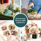 Shop Succulents Assorted Succulent Plant Pack Collection - Live Mini Succulent Plants, Low Maintenance, Mixture of Colors & Textures - Wedding and Party Favors, Gift & Garden, Pack of 4