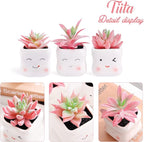 Tiita Cute Artificial Faux Succulents in Pots, Pink Fake Plants Ceramic Arrangement Planter Small Mini Tiny Decoration for Home Office Accessories Women Desk Window Sill Bathroom Bedroom