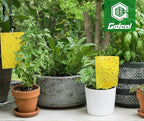 Gideal 50-Pack Dual-Sided Yellow Sticky Traps for Flying Plant Insect Fungus Gnats Whiteflies Aphids Leafminers Thrips (6x8 Inches, Included 50pcs Twist Ties)