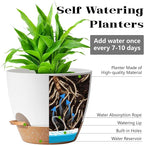 5-Pack Plant Pots with Drainage for Winter Care 7/6.5/6/5.5/5 Inch, Self Watering Pots for Indoor Plants, Planters for Indoor Outdoor Plants, Plastic Flower Pot, Planter for Indoor Outdoor (White)
