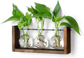 YIBOT Wall Hanging Planter Propagation Station Glass Flower Vase for Hydroponics Plants, Plant Terrarium with Wooden Stand, Bathroom, Home Office Living Room Decor Gift