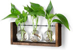 YIBOT Wall Hanging Planter Propagation Station Glass Flower Vase for Hydroponics Plants, Plant Terrarium with Wooden Stand, Bathroom, Home Office Living Room Decor Gift