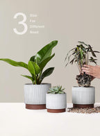 LE TAUCI Ceramic Pots for Plants, 8+6.7+5.5 Inch Plant Pots Indoor, Flower Pot with Drainage Holes, Medium Cylinder Planters for Indoor House Plants, Set of 3, Reactive Glaze White