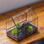 NCYP Geometric Glass Terrarium with Front Opening Door, House Shape Closed Micro Landscape Planter Box for Small Succulent, Cacti - Home Indoor Tabletop Decor, Handmade, Black (No Plants)