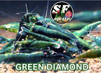 SF Aquatic™ 10 Green Diamond High Grade Neocaridina Live Freshwater Aquarium Shrimps Fully Mature Breeding Age. Live Arrival Guarantee.