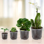 OUPSAUI 36 Pack 7/6/5/3.5 Inch Clear Nursery Pots with Drainage, Clear Pots for Plants, Flexible Plastic Seed Starting Pot