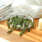 Artificial Hanging Plants Hanging Planter Fake Succulents Artificial String of Pearls with Pot and Lanyard for Home Office Wall Decoration