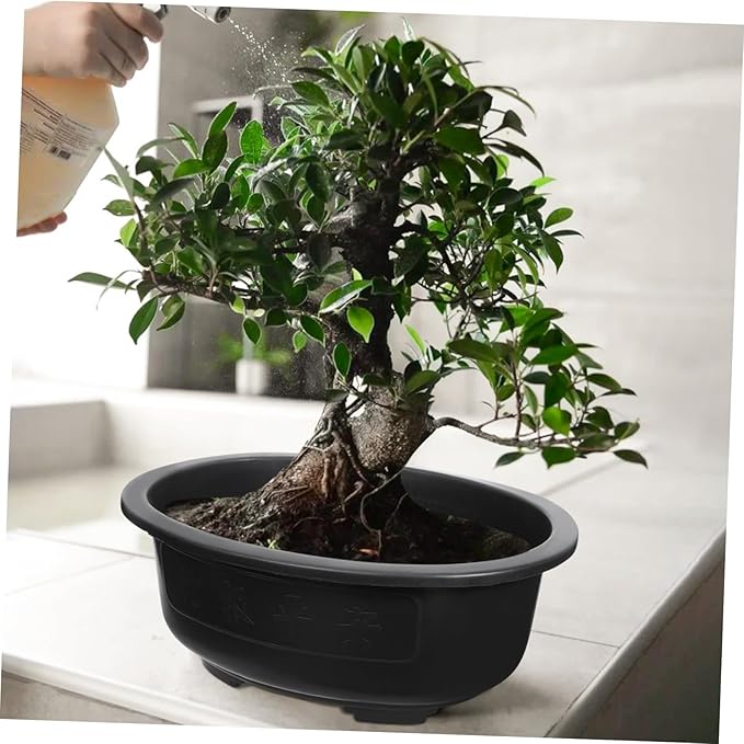 Angoily Bonsai Pots, 2PCS Bonsai Training Pot, 15 Inch Tree with Drainage Tray, Deep Oval Planter for Desktop, Garden, Balcony, Plastic Asian Tall Training