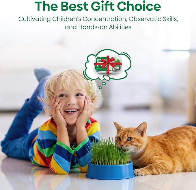 Groundio Cat Grass Seeds, All in 1 Growing Kit for Indoor Cats, Organic Cat Grass Seed with High Germination Rate, Heirloom | Non-GMO | Coco Coir | BPA Free Container