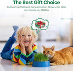 Groundio Cat Grass Seeds, All in 1 Growing Kit for Indoor Cats, Organic Cat Grass Seed with High Germination Rate, Heirloom | Non-GMO | Coco Coir | BPA Free Container