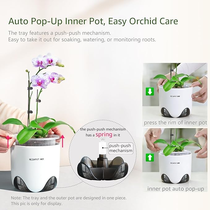 6 inch Orchid Pots with Holes for Repotting with Excellent Airflow, Set of 1, Double Layer Plastic Imitate Ceramic Orchid Planter, Clear Orchid Pot Match Decorative Orchid Container