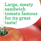 Bonnie Plants Park's Whopper Improved Tomato, 19.3 oz., 4-Pack, Live Plants