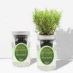 Hydroponic Herb Growing Kit, Self-Watering Mason Jar Herb Garden Starter Kit Indoor, Windowsill Herbs Garden, Grow Your Own Herbs from Organic Seeds (Rosemary)