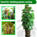 Moss Pole, 4 Pack 17Inch Monstera Plant Support for Climbing Plants Accessories Indoor -Stackable Moss Poles Plant Support Stakes -Coir Plant Pole Sticks for Potted Plants -Pothos, Tall Plant Trellis