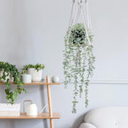 COCOBOO 2 Pcs Artificial Eucalyptus Plants Shelf Hanging Fake Plant in Pot for Wall Bedroom Home Patio Indoor Outdoor Decor