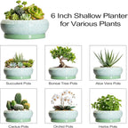 Succulent Pot 6 Inch - Ceramic Bonsai Pots Indoor Outdoor, Shallow Plant Pots with Drainage Hole and Saucer, Small Bonsai Planter, Round Bowl Planter, Desk Decor, Housewarming Gifts, Green
