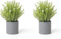 2 Pack Small Desk Plants, Artificial Bathroom Plants Decor with Thyme Flower in Vintage Melamine Pots, Faux Plants Indoor for Shelf Decor in Home Office, and Spring Decor (Ivory)