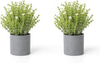 2 Pack Small Desk Plants, Artificial Bathroom Plants Decor with Thyme Flower in Vintage Melamine Pots, Faux Plants Indoor for Shelf Decor in Home Office, and Spring Decor (Ivory)