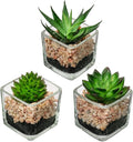 Briful Set of 3 Succulents Plants Artificial in Glass Pots Small Fake Succulents Plants Faux Plants Indoor for Home Office Table Desk Shelf Room Decor