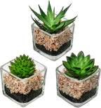 Briful Set of 3 Succulents Plants Artificial in Glass Pots Small Fake Succulents Plants Faux Plants Indoor for Home Office Table Desk Shelf Room Decor
