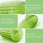 XXXFLOWER Cactus Plant Propagation Station Terrarium Jars for Plant Cuttings Air Plant Holders Unique Glass Flower Vase for Hydroponics Plants for Plant Lovers Home Garden Decor