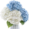 Coferset 4Pcs Hydrangea Artificial Flowers Lifelike Faux Hydrangea Real Touch Artificial Flowers for Outdoors Home Wedding Christmas Office Party Living Room Decoration,22inch(2 White+2 Baby Blue)