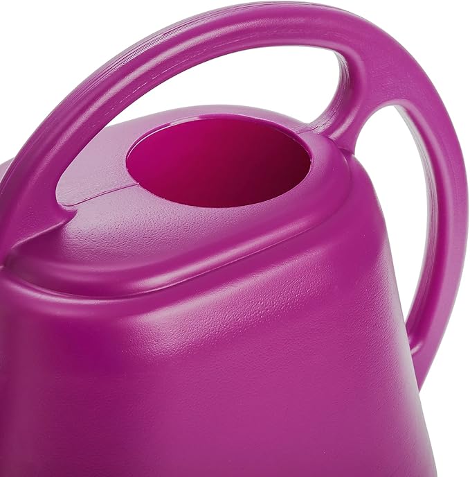 Fasmov Plastic Watering Can, Rose Red, 1-Gallon
