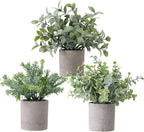 3 Pack Fake Plants Small Artificial Eucalyptus Topiaries Lifelike Faux Plant Perfect for Home Office Desk,Shelf Decor