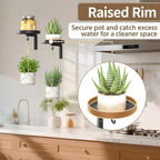 LASZOLA Plant Hangers Shelves Wall Mounted Indoor, Metal Window Plant Holders, 3Pcs Modern Floating Flower Display Stand with 3 Hooks for Outdoor Kitchen Bathroom Decor, Black