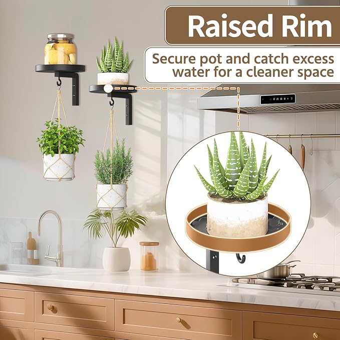 LASZOLA Plant Hangers Shelves Wall Mounted Indoor, Metal Window Plant Holders, 4Pcs Modern Floating Flower Display Stand with 4 Hooks for Outdoor Kitchen Bathroom Decor, Black