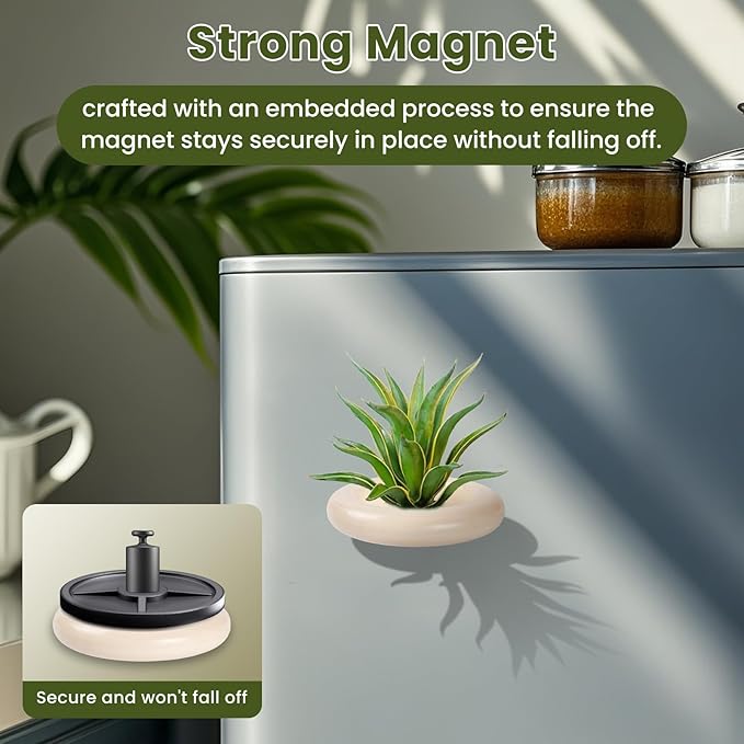 12 Pack Air Plant Holder Magnet Wooden Air Plant Display Stand Small Hanging Planter Wall Mount Holder for Live Tropical Tillandsia Fridge Home Office Decoration Plants Not Included (12, Natural Wood)