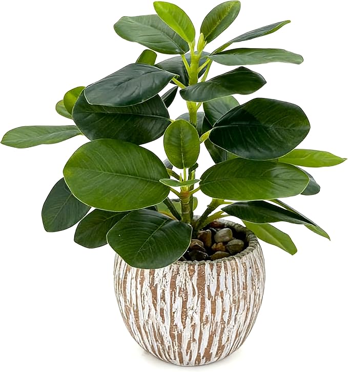 Artificial Potted Plants Life-Like Fake Plant with Farmhouse-Style Cement Planter Feturing Light Wood Tone for Room Bathroom Bedroom Kitchen Office Dese Coffee Table Décor (9inch)