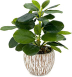 Artificial Potted Plants Life-Like Fake Plant with Farmhouse-Style Cement Planter Feturing Light Wood Tone for Room Bathroom Bedroom Kitchen Office Dese Coffee Table Décor (9inch)
