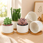 ZOUTOG Ceramic Succulent Pots,3.6 Inch Plant Pots,Succulent Planters with Drainage Hole & Bamboo Tray for Indoor Plants,White Small Flower Planters for Home,Office,Desk(6 Pack)