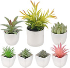 7 Pack Small Fake Plants Artificial Succulent Plants Assorted Mini Faux Succulent Decoration Greenery for Living Room Home Office Shelf