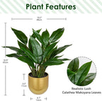 GnFlus Fake Plants 17'' Faux Plants Artificial Potted Plants Indoor Realistic Fake Cast Iron Plant Artificial Plants with Gold Pot for Home Office Farmhouse Kitchen Bathroom Table Shelf Decor