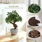 TOARTi Artificial Bonsai Tree Potted Plant with Stone Pot, 15" Tall Fake Potted Faux Plant Desk Decor, Realistic Decorative Plants Indoor Decor for for Home Bedroom Bathroom Office Desk