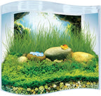 Toys By Nature Freshwater Oasis Garden, Mini Wave Terrarium Kit with Aquatic Seeds and Real Water Plant, Beginner-Friendly Terrariums and Live Indoor Plants Decor