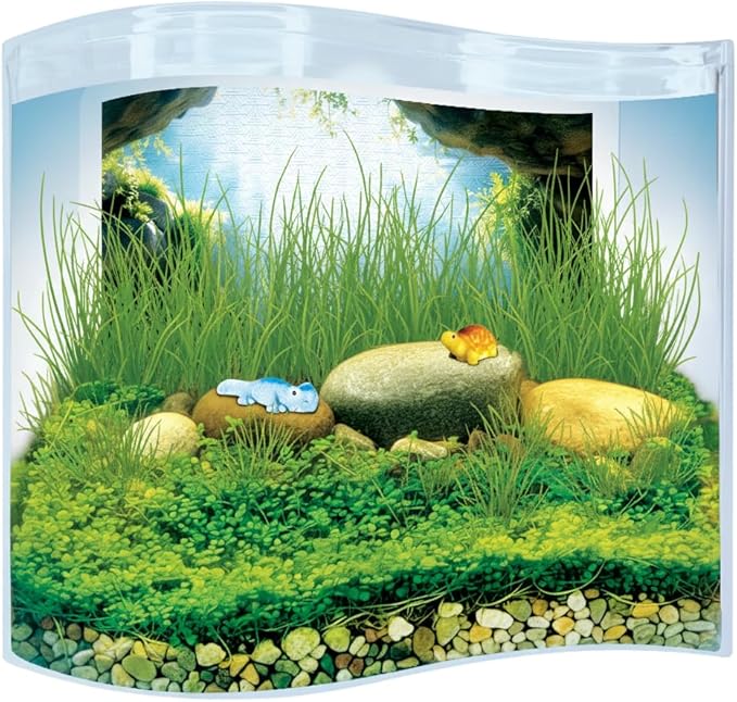 Toys By Nature Freshwater Oasis Garden, Mini Wave Terrarium Kit with Aquatic Seeds and Real Water Plant, Beginner-Friendly Terrariums and Live Indoor Plants Decor