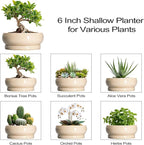 Small Bonsai Pots - 6 Inch Ceramic Succulent Planters for Indoor Plant Outdoor, Shallow Planter with Drainage Hole and Saucer, Round Succulent Pots, Kitchen Decor, Gifts for Women Men, Beige