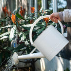 1.3 Gal Watering Can, Matte Cream White Finish, Galvanized, Metal Watering Can, Perfect Plant Water Can for Plants Indoor & Outdoor