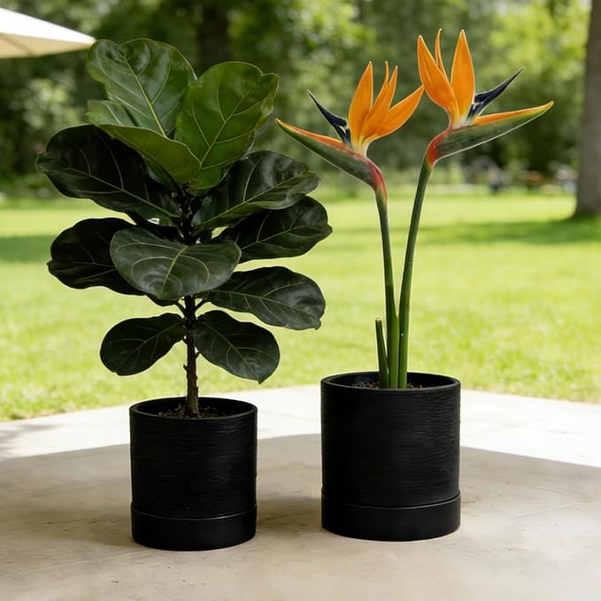 GreenShip Planter Set of 2 (GK-Black, 9.8in+7.8in) – Cylinder Planters with Drainage Hole and Planter Saucer, Jun Porcelain Clay & Recycled Resin, Decorate Home,Office & Outdoor
