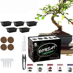 Indoor Bonsai Starter Kit - 5 Seeds Growing Complete Set with Gardening Tools for Beginners, Home DIY Mini Garden Gift for Adults
