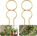 Nogeqi 2 Pcs Plant Support for Climbing, Metal Plant Trellis Indoor, 12 Inch Small Plant Stakes for Indoor Plants, Trellis for Climbing Plants Garden Potted (Gold)