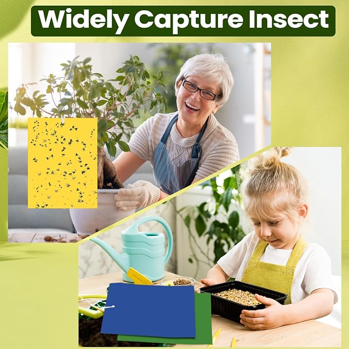 Qualirey 100 Pcs 6 x 8 Inch Sticky Traps for Plant Double Sided Sticky Trap for Gnats with Twist Ties Fly Traps for Fruit Insect Fungus Bugs Indoor Outdoor (Yellow,Blue,Green)