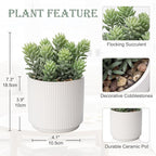 Briful Flocked Fake Plants Realistic Succulents Artificial Plant in Ceramic Pot, Faux Succulent for Home Shelf Tabletop Modern Bathroom Decor