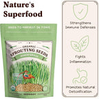 Seedboy Organic Wheatgrass Seeds - Hard Red Spring, Non-GMO, USA Grown Microgreens & Sprouting Seeds - 8 oz Bag Yields 5 Quarts (Hard Red Spring Wheatgrass)