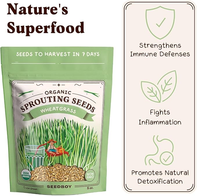 Seedboy Organic Wheatgrass Seeds - Hard Red Spring, Non-GMO, USA Grown Microgreens & Sprouting Seeds - 8 oz Bag Yields 5 Quarts (Hard Red Spring Wheatgrass)