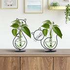 Plant Terrarium Plants Propagation Station Cat Lover Gifts for Women Home Office Decor Cat Desk Accessories